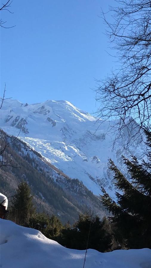 Appartement Chamonix Montblanc 1 A 4 Personnes Εξωτερικό φωτογραφία